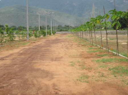 Gated Community Plots and Premium Villa Plots for Sale Near Mallavaram - Kalahasthi 6 Lane Highway, Tirupati